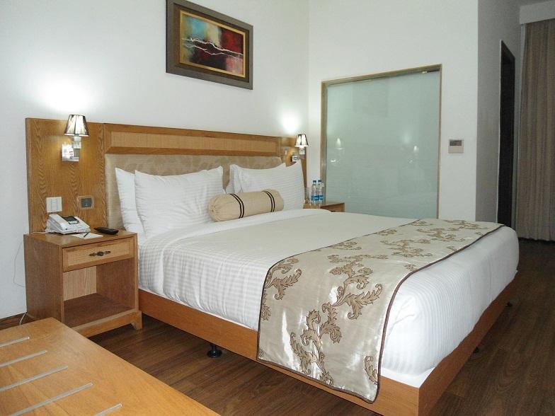 Comfort Inn Anneha New Delhi Ruang foto