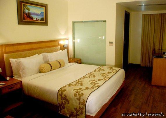 Comfort Inn Anneha New Delhi Ruang foto